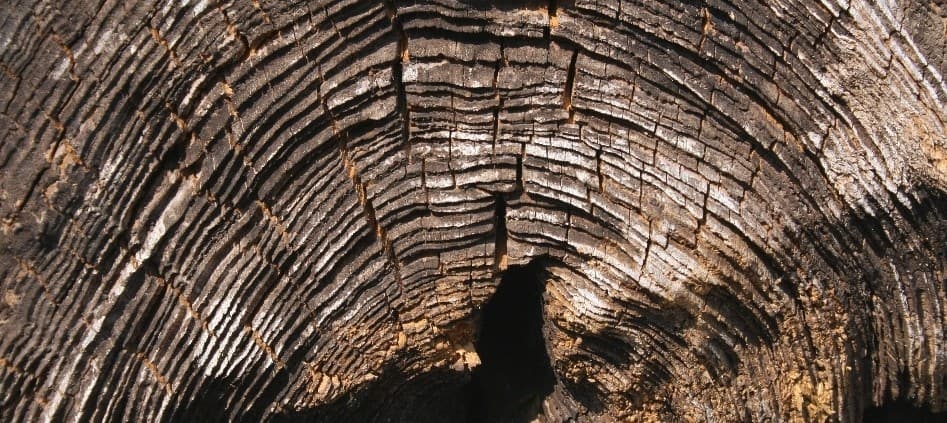 Subfloor Preparation Tips