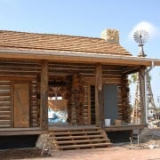 Cypress – “The Wood Eternal” 1