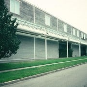 Cypress – “The Wood Eternal” 4