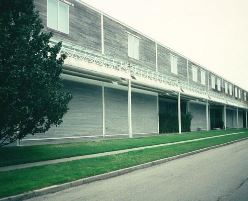 Cypress – “The Wood Eternal” 4