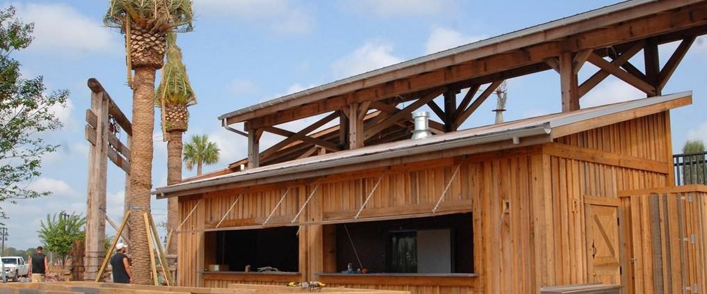 Cypress – “The Wood Eternal” 3