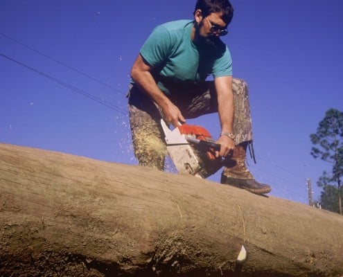 The Story Behind Florida's Deadhead Logging Permit 2