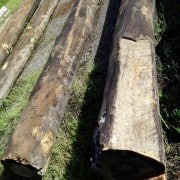 Sourcing River Logs – My Story (part 1) 1