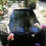 Congratulations to Tenna Florian of Lake | Flato Architects 6