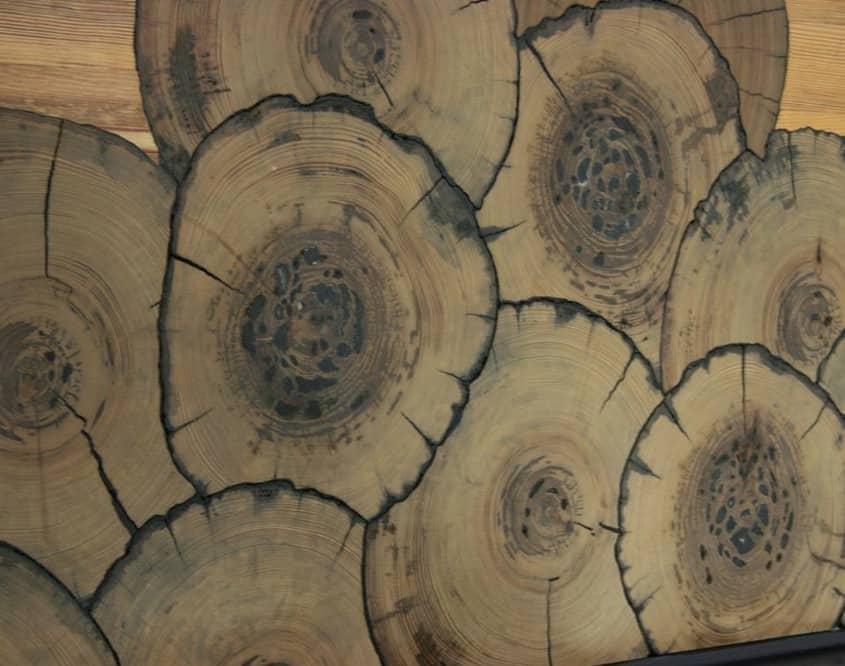 A Breathtaking Display of Goodwin’s Various Wood Species 25