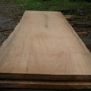 Our “Gentle Giant” Continues to Evolve! 1