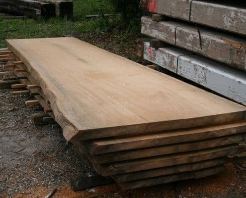 Our “Gentle Giant” Continues to Evolve! 2