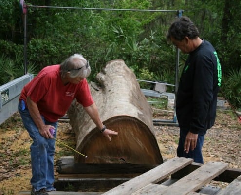 Our “Gentle Giant” Continues to Evolve! 5