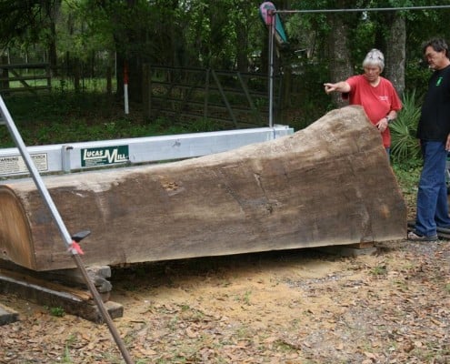 Our “Gentle Giant” Continues to Evolve! 6