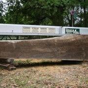 Our “Gentle Giant” Continues to Evolve! 8