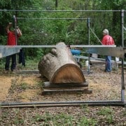 Our “Gentle Giant” Continues to Evolve! 9