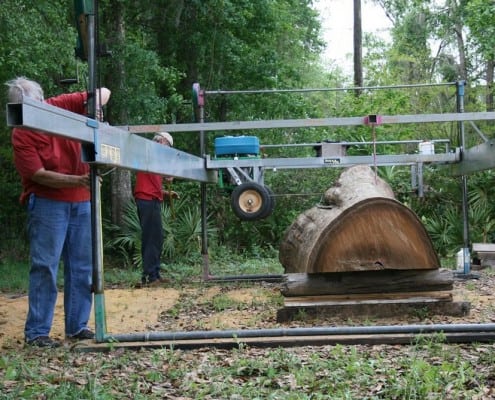 Our “Gentle Giant” Continues to Evolve! 12