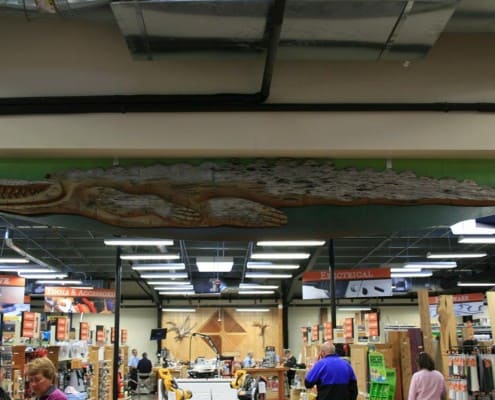 Kimal Lumber (Sarasota - Fruitville Road) 1st Anniversary Celebration Kimal Lumber (Sarasota - Fruitville Road) 1st Anniversary Celebration 13