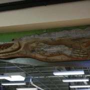 Kimal Lumber (Sarasota - Fruitville Road) 1st Anniversary Celebration Kimal Lumber (Sarasota - Fruitville Road) 1st Anniversary Celebration 14