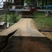 Our “Gentle Giant” Continues to Evolve! 15