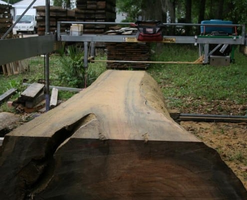 Our “Gentle Giant” Continues to Evolve! 15