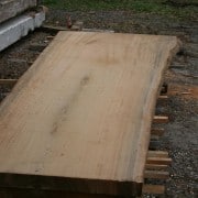 Our “Gentle Giant” Continues to Evolve! 20