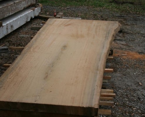 Our “Gentle Giant” Continues to Evolve! 20