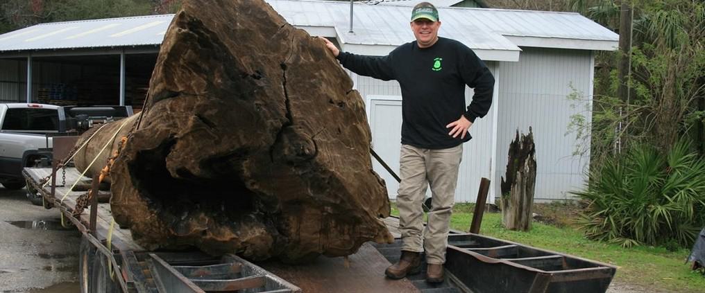 Our Newest “Gentle Giant” 9