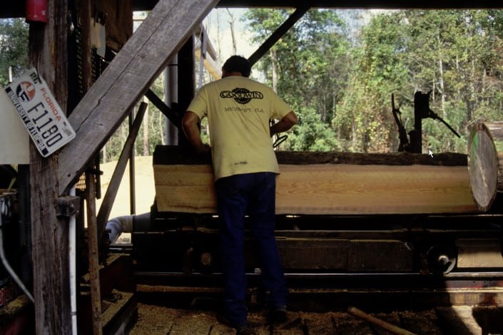 Meet the Goodwin Family 1