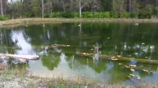 Goodwin Helps Build Brownwood