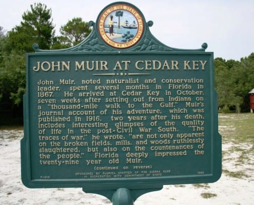 Congratulations Jeffrey and Megan! 7