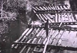 Goodwin Heart Pine on Dream Builders TV