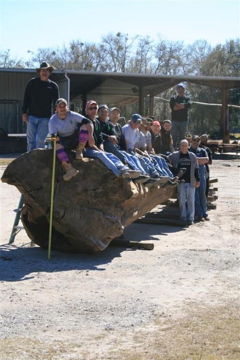 History of Goodwin Woods 17