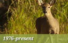 Our Environmental Mission