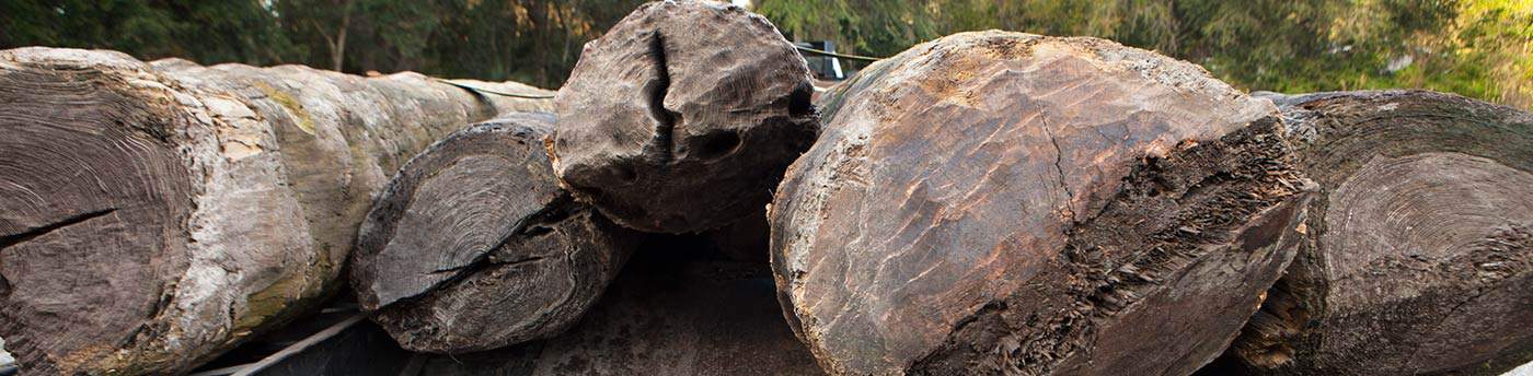 Goodwin Difference Ax Cut Ends