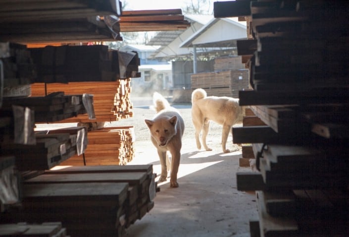 Meet the Goodwin Family 13