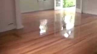 Michael Miller, Key West, FL, Architect on the Beauty of River Recovered Wood