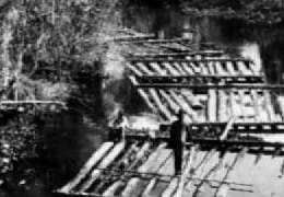 Antique Heart Pine and Sinker Cypress Logs