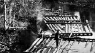 Antique Heart Pine and Sinker Cypress Logs