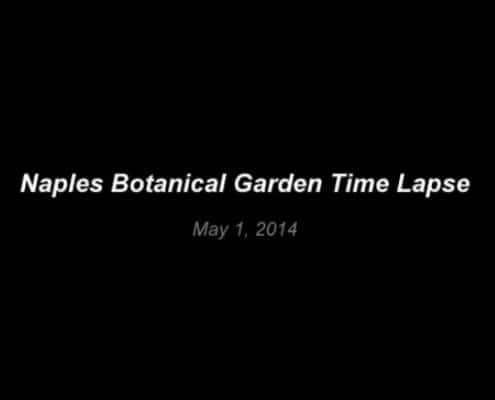 Naples Botanical Garden Time-Lapse Video