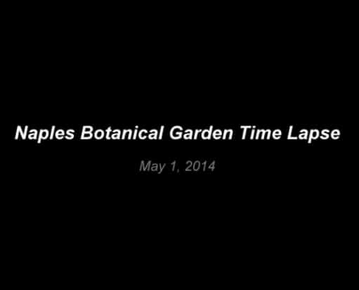 Naples Botanical Garden Time-Lapse Video