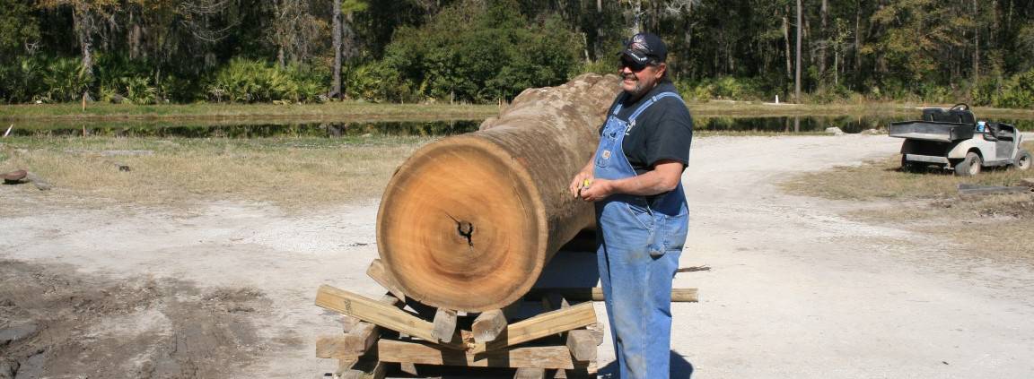 Gentle Giant Update: The Transformation Begins… 2