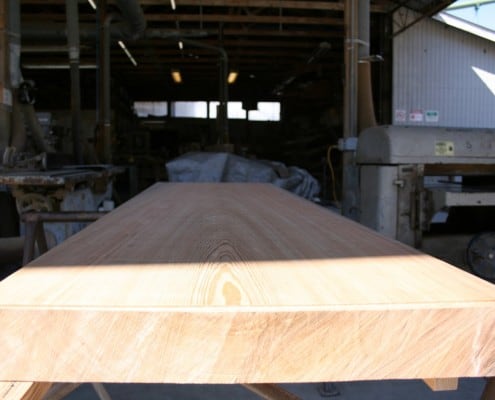 Gentle Giant Update: The Transformation Begins… Gentle Giant Update: The Transformation Begins… 3