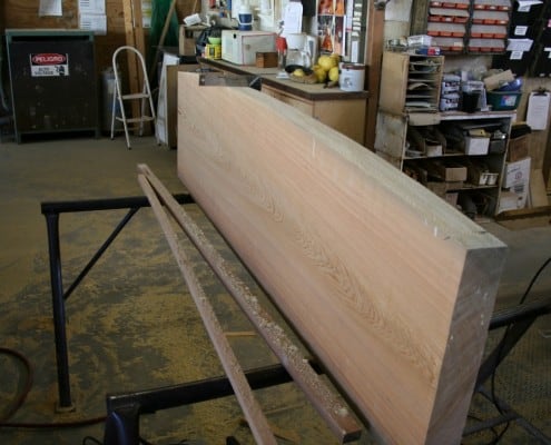 Gentle Giant Update: The Transformation Begins… Gentle Giant Update: The Transformation Begins… 6