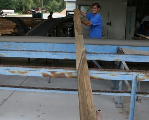 If You Guessed Bok Tower Gardens, You Were Correct! 22