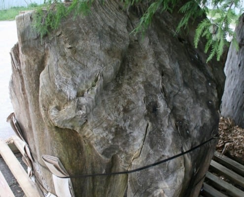 If You Guessed Bok Tower Gardens, You Were Correct! 33