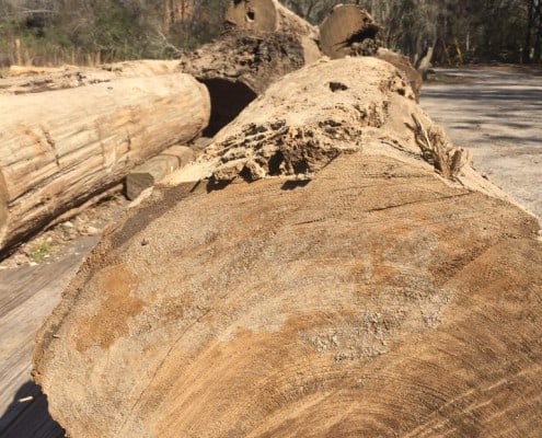 Reclaimed Wood Coming Through! 2