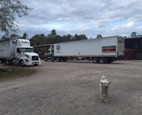 Reclaimed Wood Coming Through! 3
