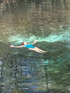 Sinker Cypress be Dammed! 3