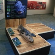 Preserving a Prairie