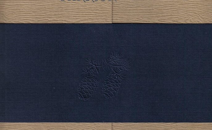 Sustainable, River-Recovered® Heart Pine 2