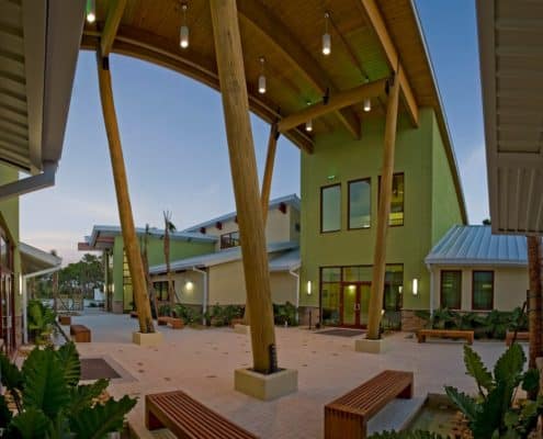 Sinker Cypress - Then and Now 5