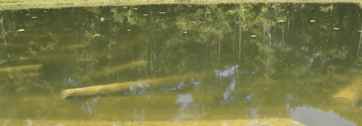 When We Say Custom Crafted... 2