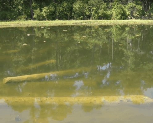 When We Say Custom Crafted... 2