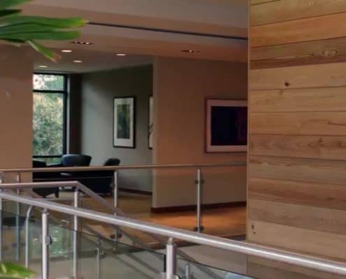 Sawing Sinker Cypress